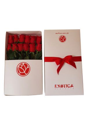 Caja x12
