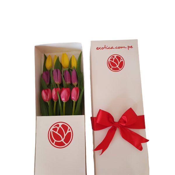 Caja x12 Tulipanes