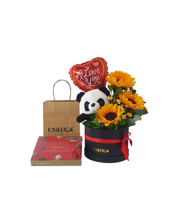BOX PANDA