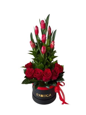 BOX SIENA SAN VALENTIN